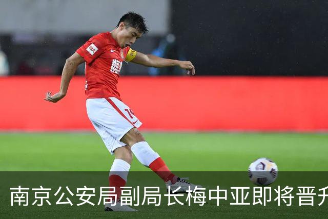南京公安局副局长梅中亚即将晋升新岗位，王干担任中国人寿集团高管
